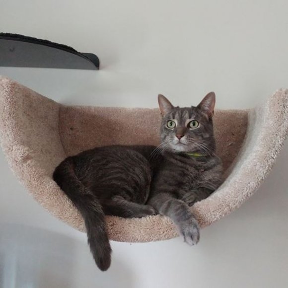 New Wall mounted cat bed - Picture 4 of 16